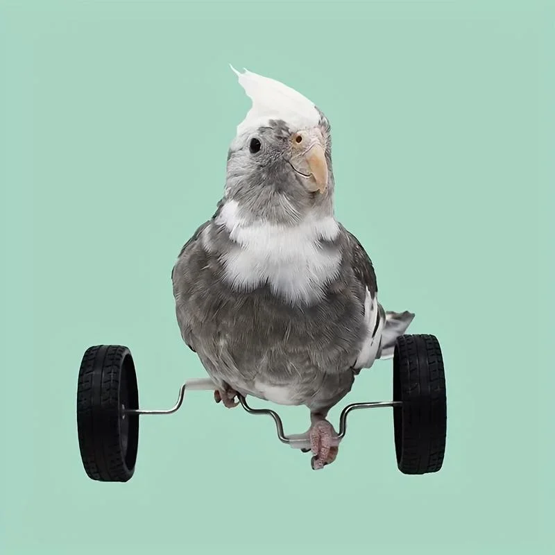 Bird Toys Parrot Balance Car Toy Pet Bird Interactive Skill Training Toys Exercise Fun Play Toys For Parrots Parakeets