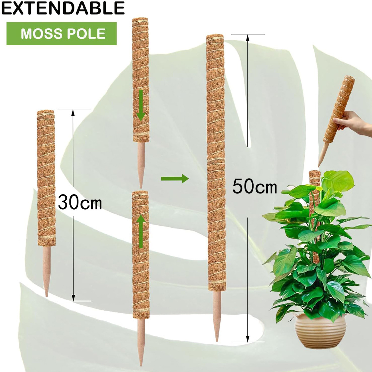 Cross-border Gardening Cocoanut Stick Green Pot Fixed Plant Climbing Cane Flower Support Cocoanut Climbing Cane Moss Rod 1pc