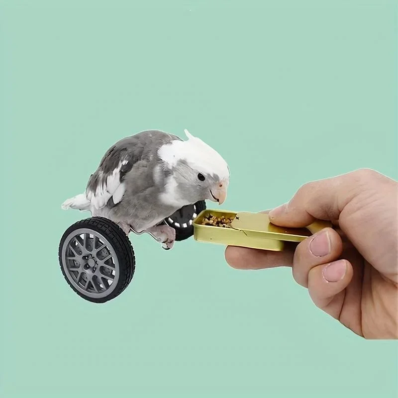 Bird Toys Parrot Balance Car Toy Pet Bird Interactive Skill Training Toys Exercise Fun Play Toys For Parrots Parakeets