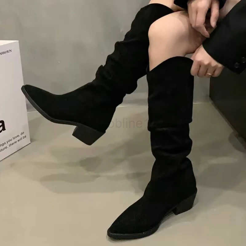 Wen Wern Boots Korean Style Autumn Pointed Toe Long Boots Thick Heel Outdoor Hiking Shoes Botas De Mujer Largas Z250304