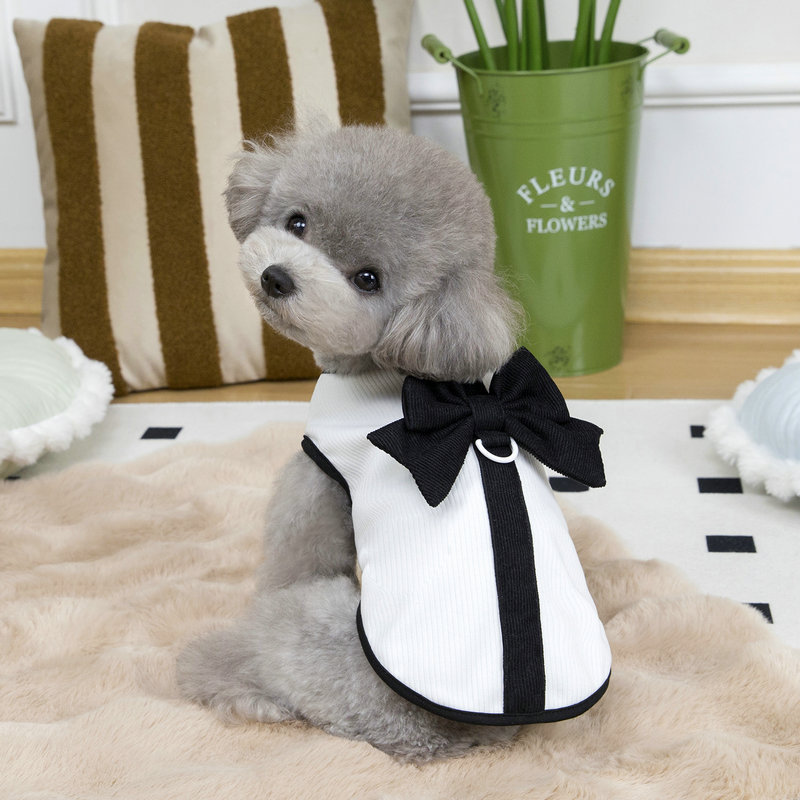 Spring Summer Pet Clothes Dog Wedding Dress Small Meidum Dog Leash Dress Designer Dog Clothes