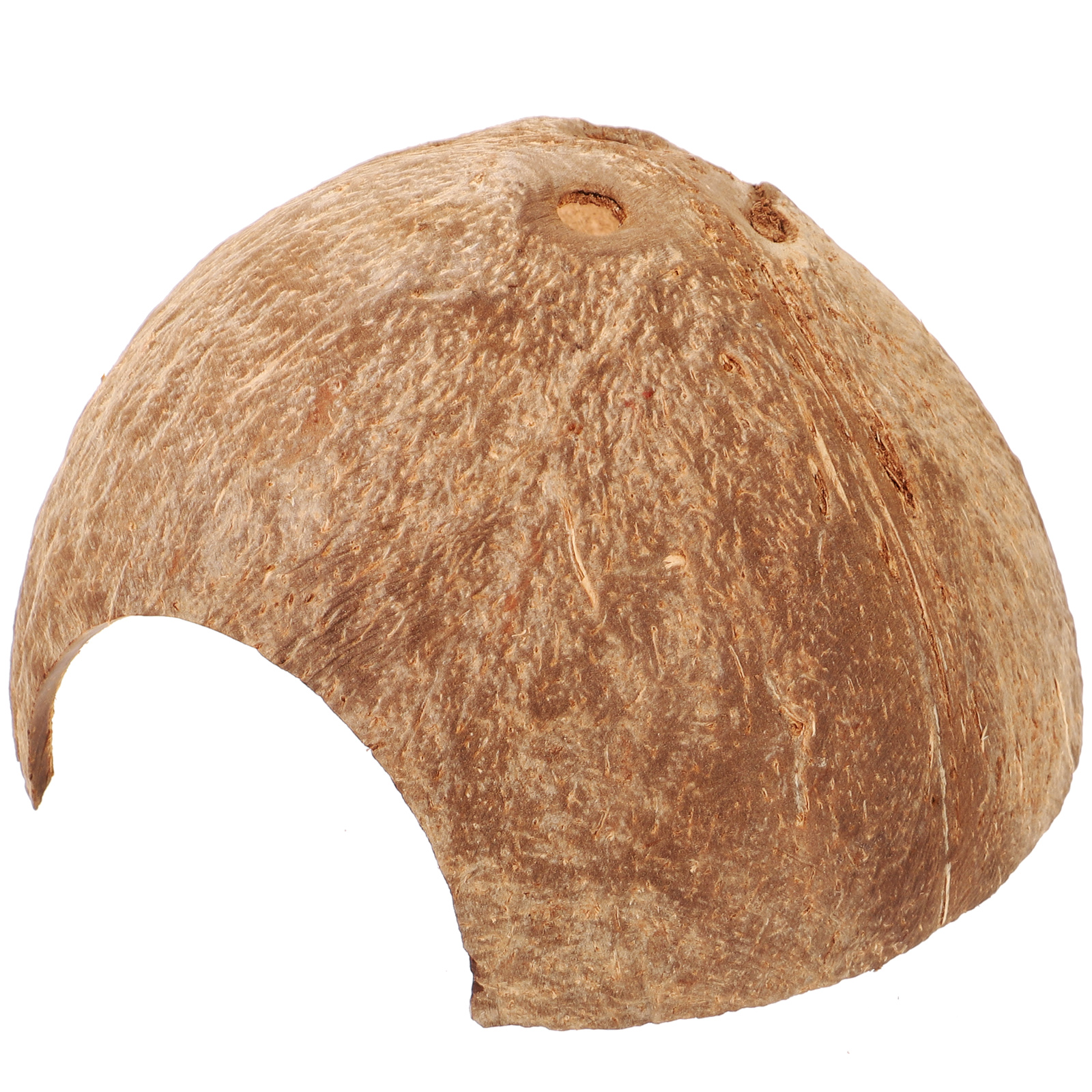 Coconut Hideout House Leopard Gecko Humid Container Coconuts Shell Hermit Crab Tank Adorable Reptile Cave
