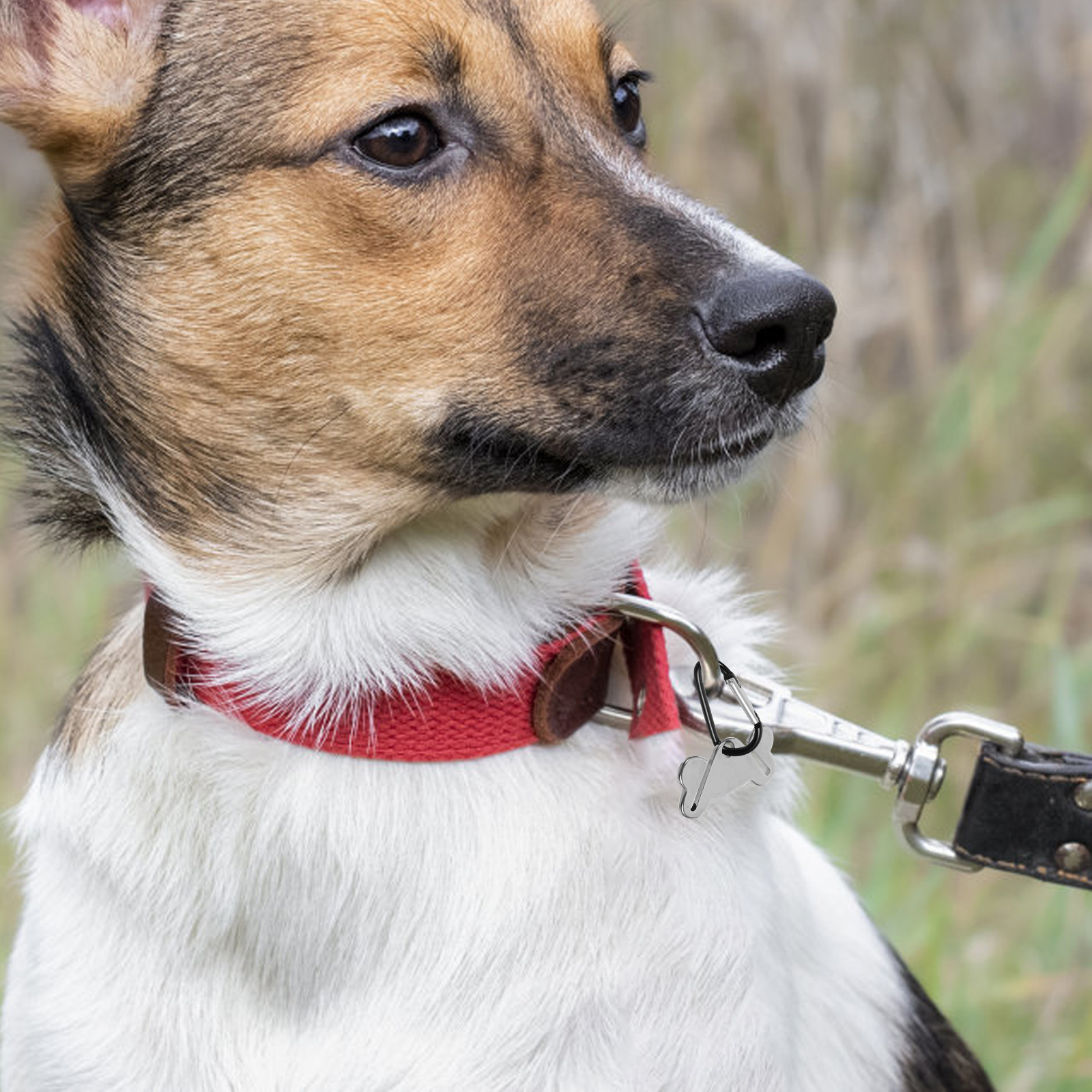 Garbage Clip Poo Bags Holder Dog Waste Clips Poop Metal Belt Alloy Fastener Leash Holders Pet