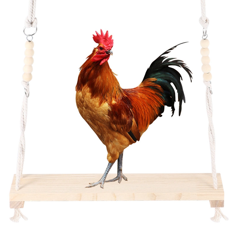 Chicken Swing Toy For Coop Natural Safe Wooden Accessories Large Durable Perch Ladder For Poultry Run Rooster Hens
