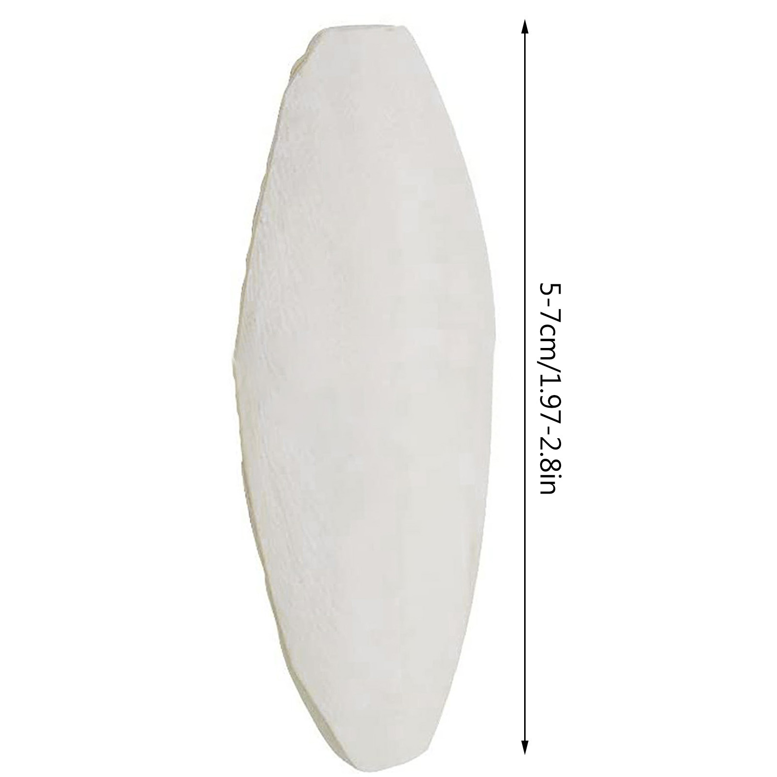 10pcs Cuttlebone For Parakeet Parrot Chewing Cuttle Bone For Sharp Beaks Cuttlefish Bone For Budgies Cockatiels