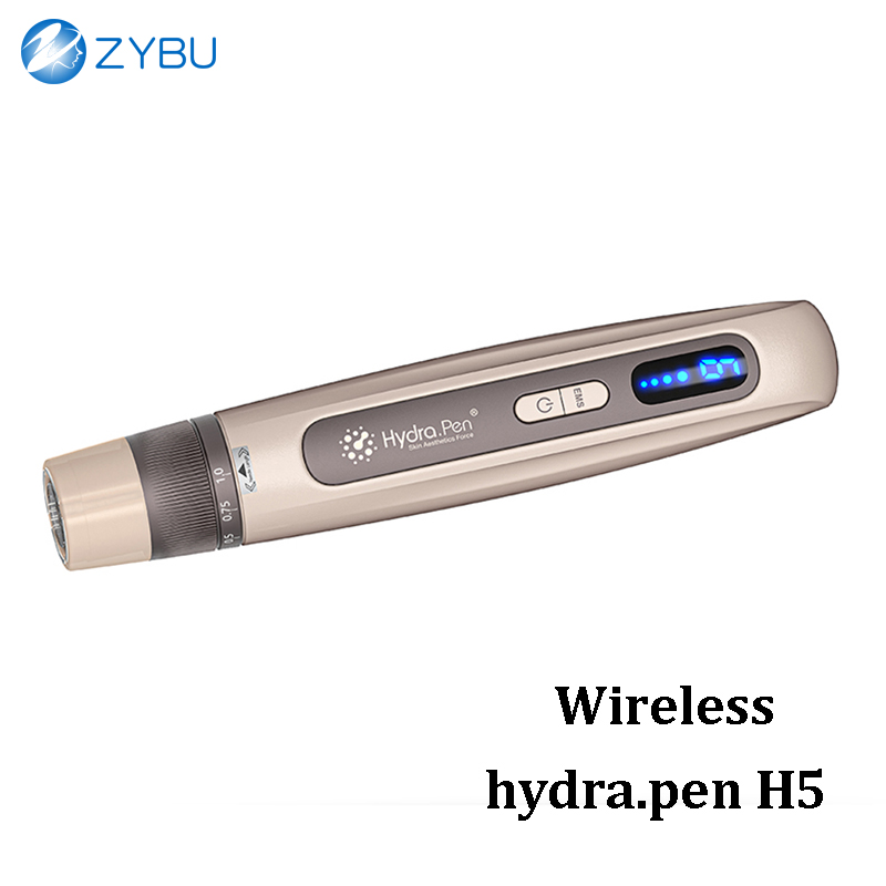 Home Use Hydra Pen Derma Microneedle Dermapen 4-pole EMS Microcurrent Mesotherapy Automatical Serum Applicator Repair Skin Care Beauty MTS Tool Hydra.