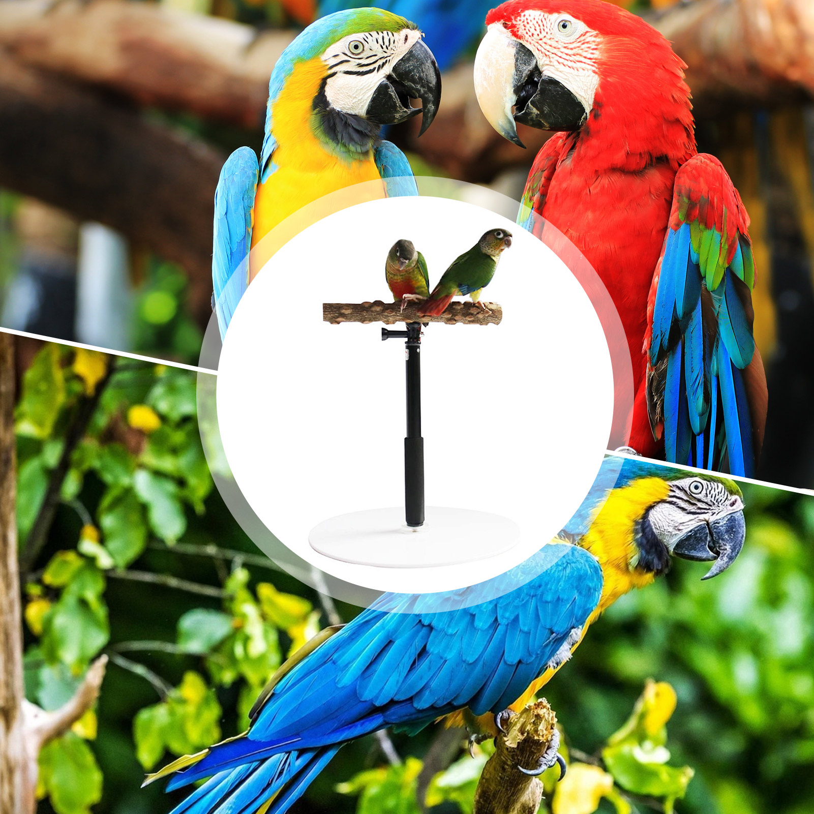 Parrot Desktop Stand Wooden Desktop Play Stand For Birds Adjustable Parrot Training Stand Toys Portable Retractable Perch