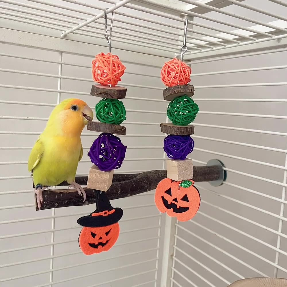 Halloween Parrot Chew Toy Applewood Rattan Ball Birds Bite Hang Toys Cockatiels Training Hang Swings Hamster Birds Cage Supplies