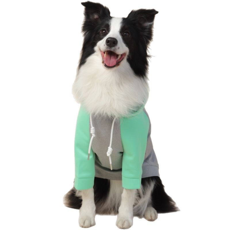 All - Weather Four - Legged Windproof Coat Fit for Small and Medium Dogs with an Inclusive Design