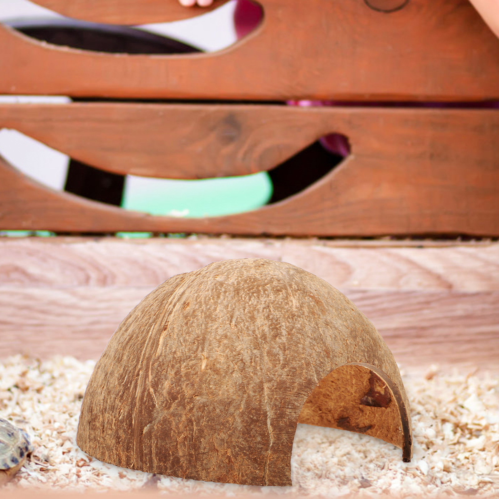 Coconut Hideout House Leopard Gecko Humid Container Coconuts Shell Hermit Crab Tank Adorable Reptile Cave