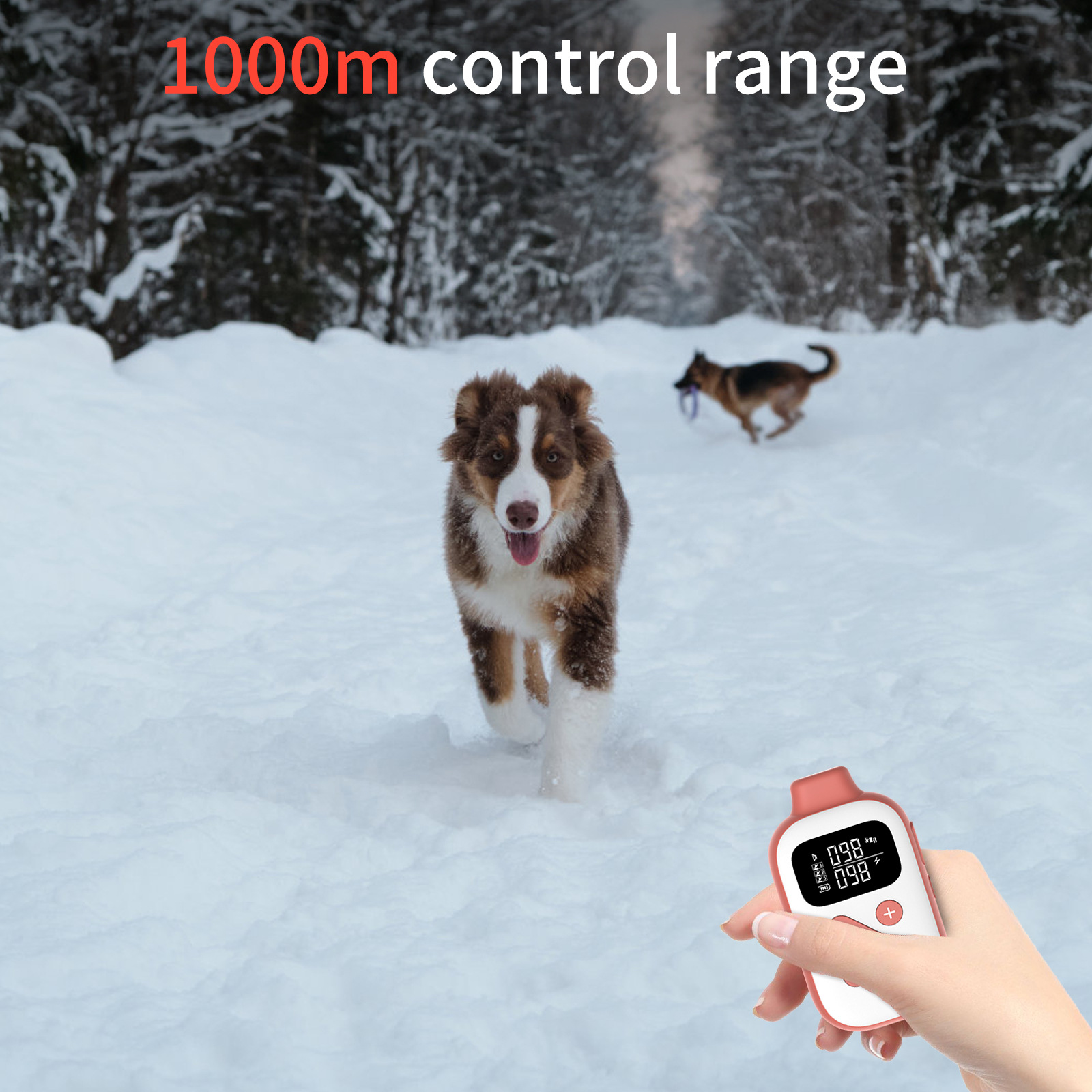 2-in-1 Bark and Shock Collar for Dogs, Smart Anti Barking Dog Training Collar with 5 Adjustable Sensitivity, Automatic Bark Collar with Remote, Vibrat