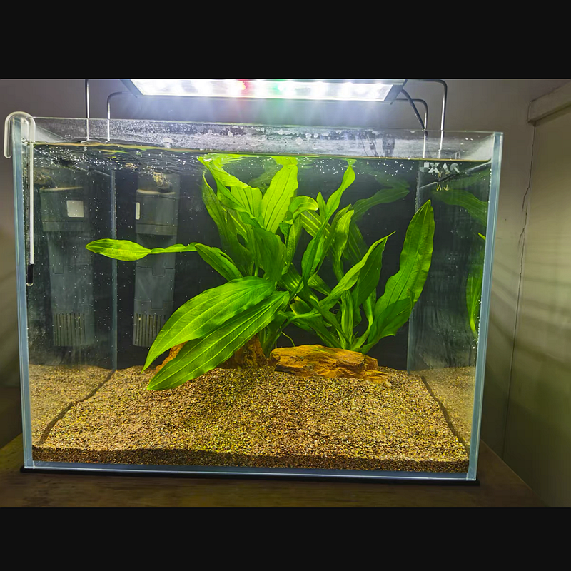 100/200/500g Fish Tank Bottom Sand Stone Aquarium Landscape Native Stream Natural Sand Stone Garden DIY Accessories Decorations