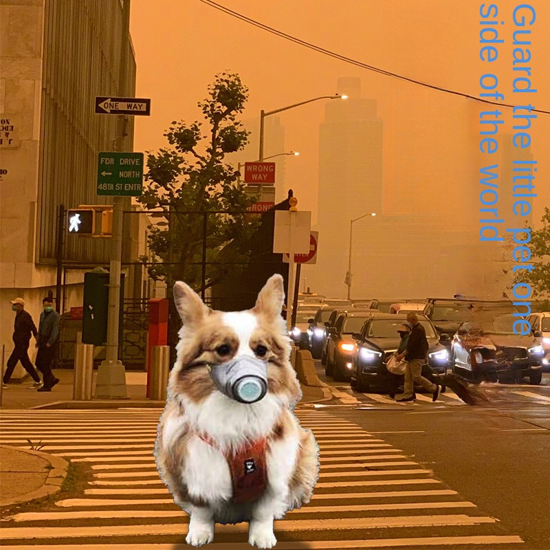 Dog Anti-fog Haze Mouth Masks Anti Dust Gas Pollution Dog Soft Face Cotton Mask Pet Respiratory PM2.5 Filter Muzzle Protect Mask