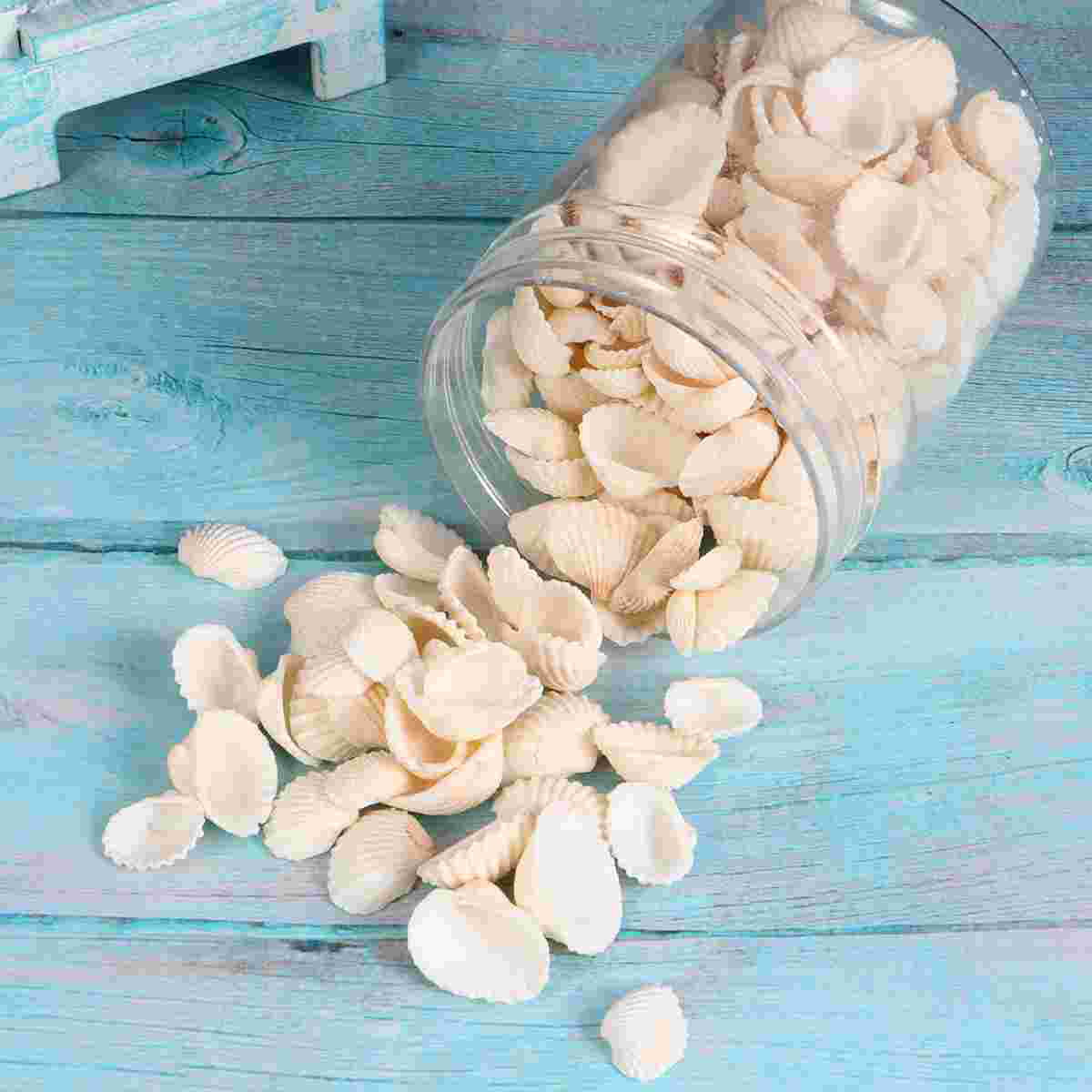 Fish Tank Accessories Shell Jewelry Small Decor Scallop Natural Ornaments Vase Barreled DIY Pendant