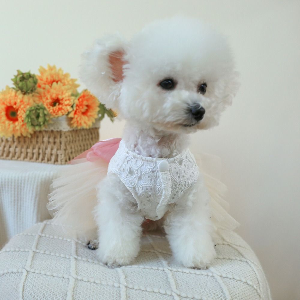 Sweety Fairy Dress Cat Dog Wedding Dress Big Bow Lace Princess Dress Soft Organza Pet Skirt For Cat Dog