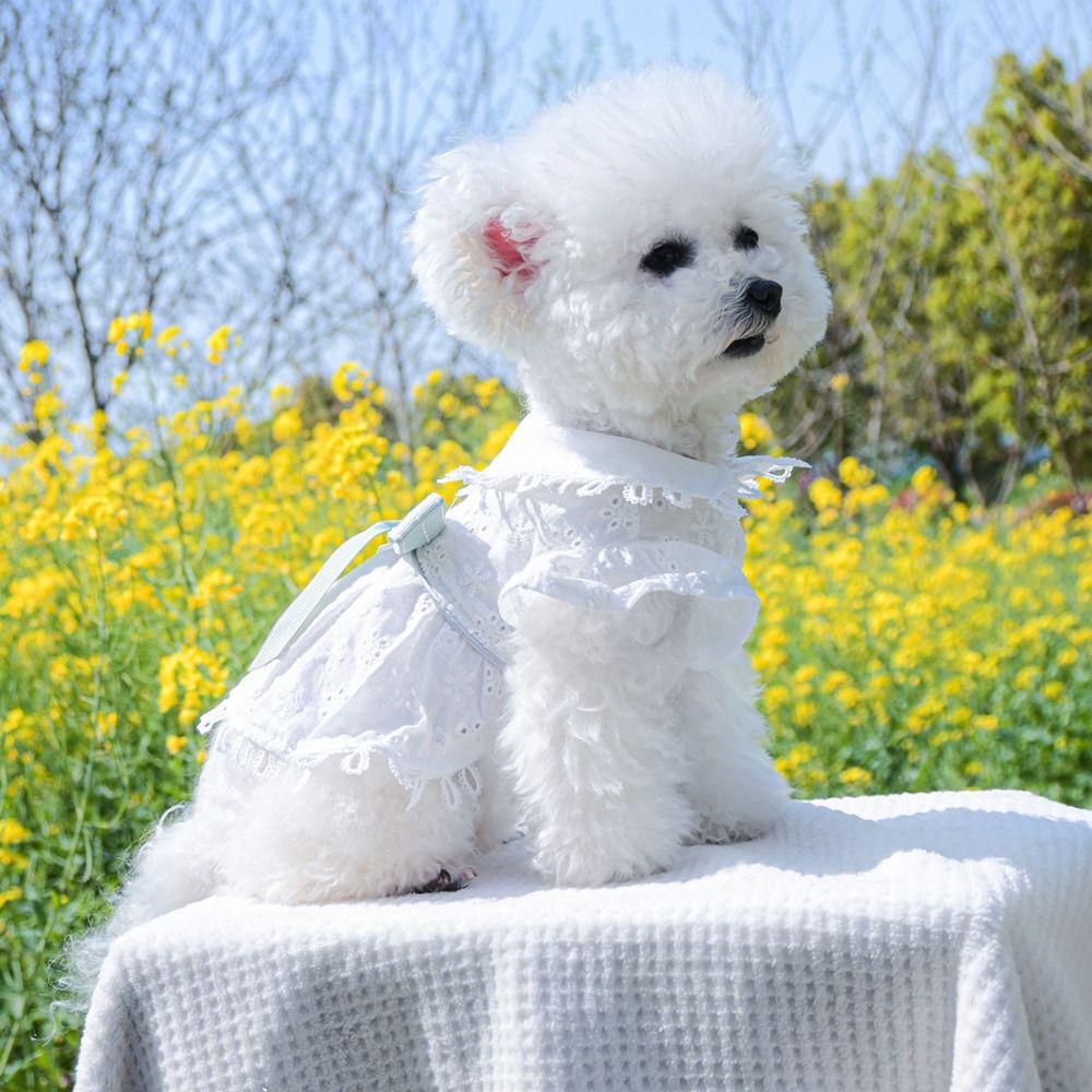 Bichon Frise White Spring Cat Dog Dress Hollow Out Soft Puppy Skirt Skin-friendly Pet Skirt Spring/summer