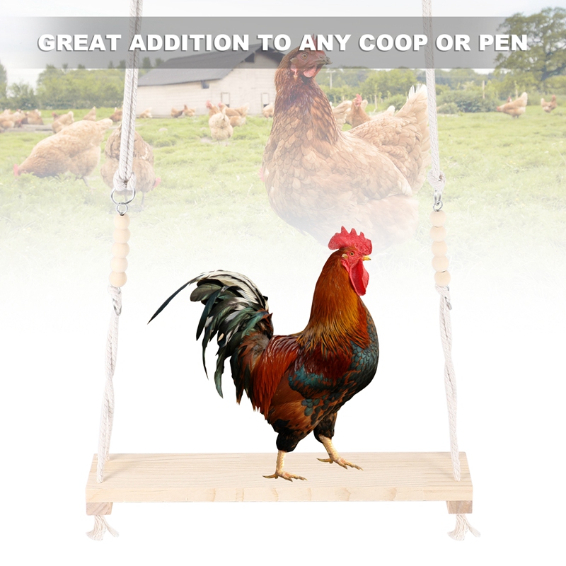 Chicken Swing Toy For Coop Natural Safe Wooden Accessories Large Durable Perch Ladder For Poultry Run Rooster Hens