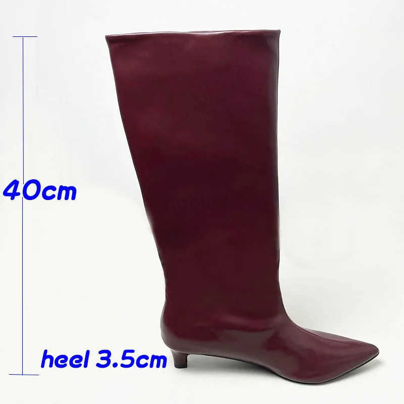 Fion Pointed Toe Wen Knee High Boots Fem Designer Slip On Shoes Ladies Long Modern Booties With Low Heel Shoes Z250304