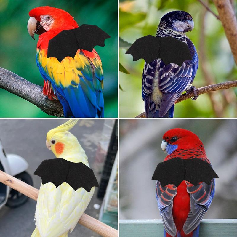 Bird Harness Outdoor Bird Flying Rope Bird Training Rope Adjustable Conure Harness Parakeet Leash Traction Rope Straps Bird Gift