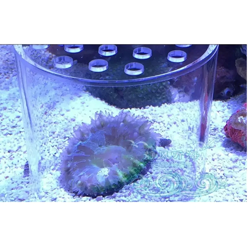 Fish Tanksssss Tube Liquid Add Reef Tank Fresh Water Aquarium Upgrade Ultra Powerful Coral Feeding saltwater aquarium feeder