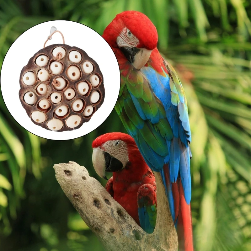 Bird Toy Parrot Chewing Toy Birdcage Tearing Toy All Size Birdcage Nature Lotos Seedpod Bird Toy for Conures Cockatiels