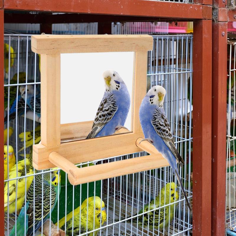 Bird Mirror Perch Paw Grinding Pole For Birds Natural Wood Parrot Cage Pole For Parakeets Cockatiels Lovebirds Standing Branch