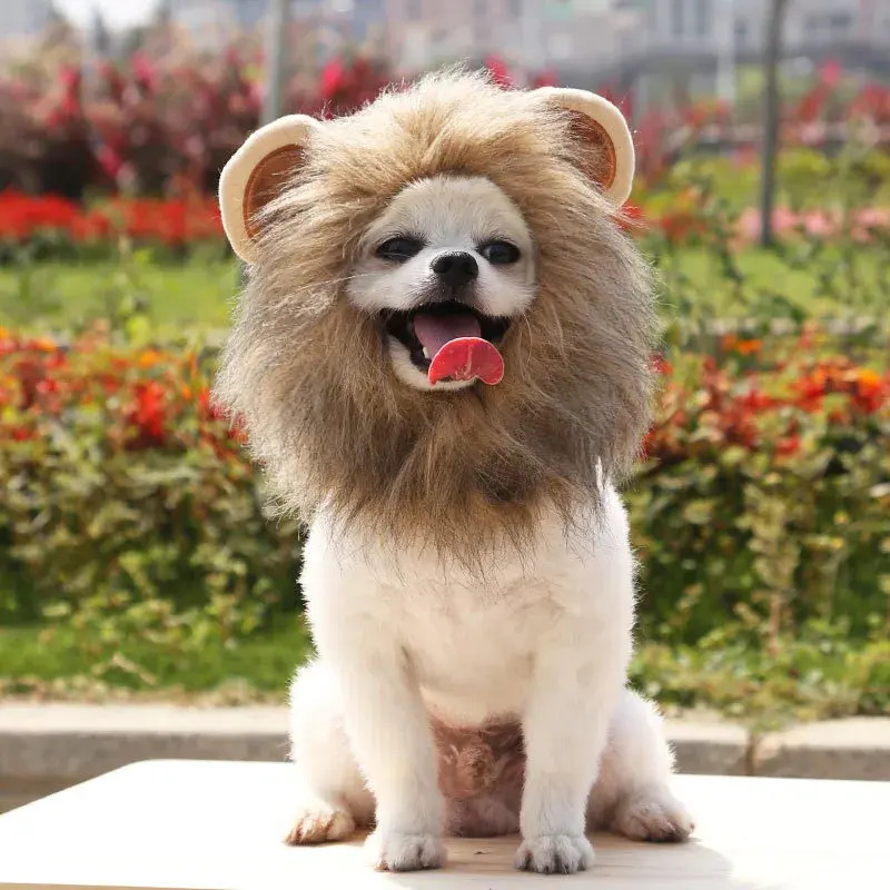 Update Decorative Hat Soft Lightweight Lion-Style Hats Breathable Hood Adorable Pet Photograpps Cat Costume Cosplay