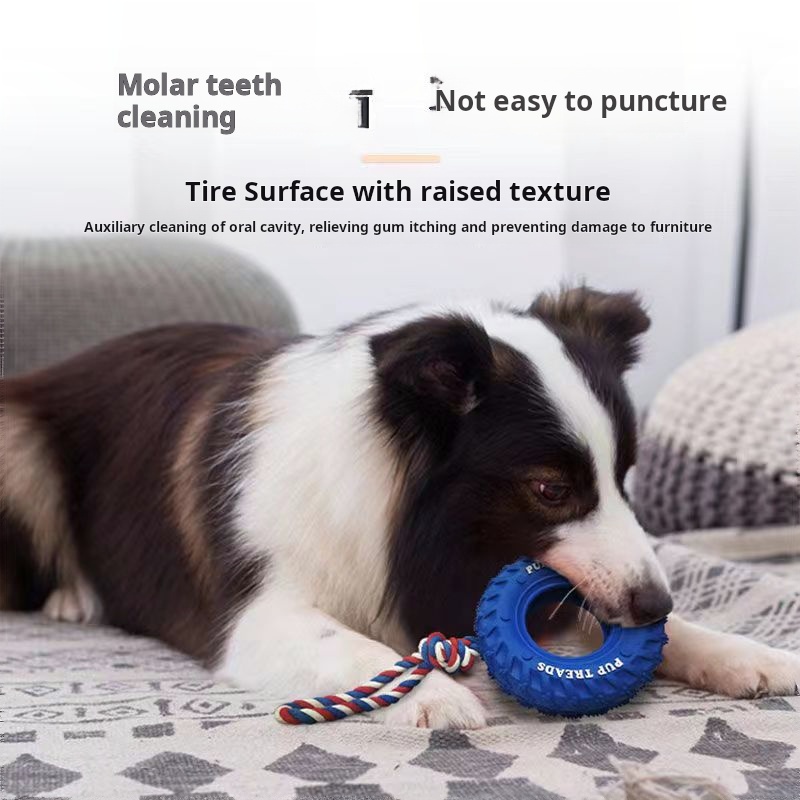 Pet dog toys bite resistant rubber tires, border herding interactive training grinding teeth teeth gnawing large dog toys