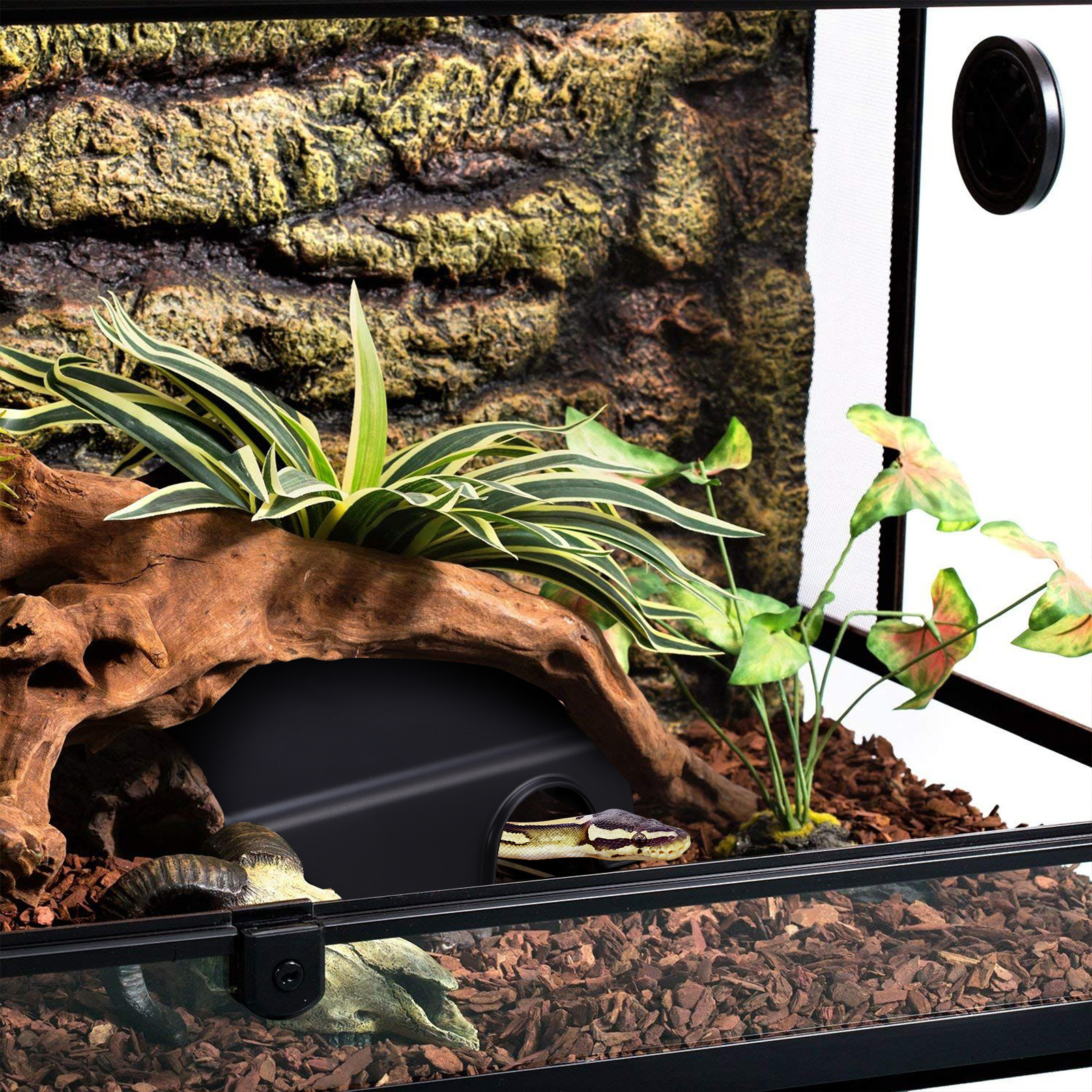 Reptiles Hide from Caves Terrarium Decor Hermit Crab Aquarium Turtle Leopard Snake Sea Artificial