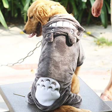 Adaptive Four - Legged Pet Apparel for Large Dogs such as German Shepherds and Cats - Essential Pet Necessities