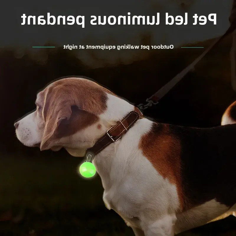 Update Update Pet Bone Pendant, Bright, Safe, Adjustable Glowing Pendant For Night Walking