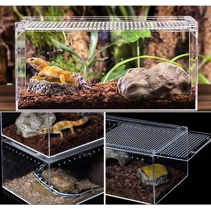 Reptile Habitat Acrylic Breeding Box Transparent Acrylic Leak-proof Cage Spider Lizard Snake Scorpion Habitat Insect Feeding Box