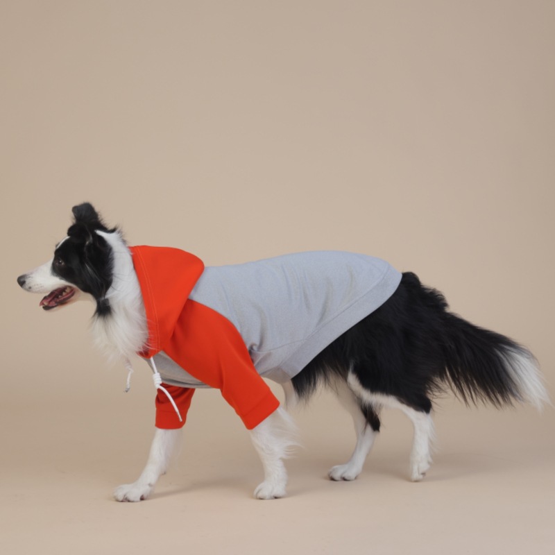 Waterproof Raincoat for Dogs - Medium/Large Size, Reliable & Stylish, Suitable for Year - Round Use