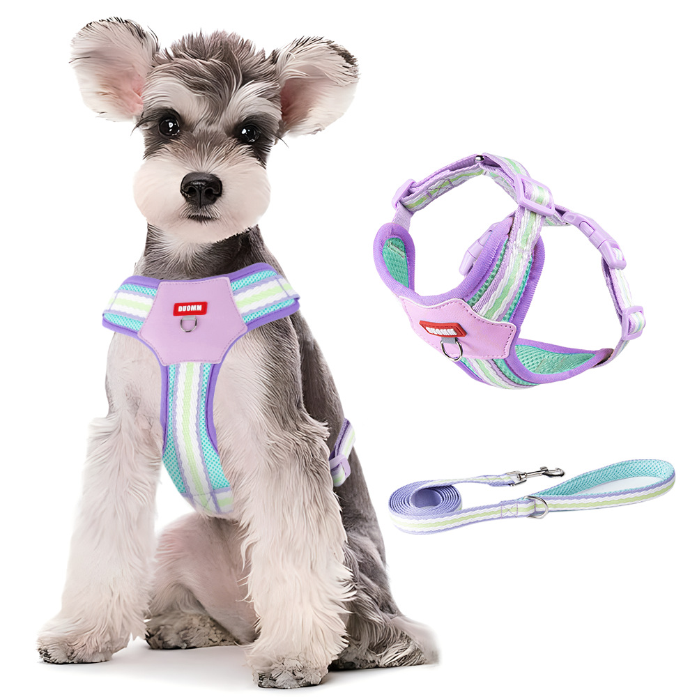 New dopamine puppy chest back cloud feeling breathable dog chest strap out pet supplies spring leash summer