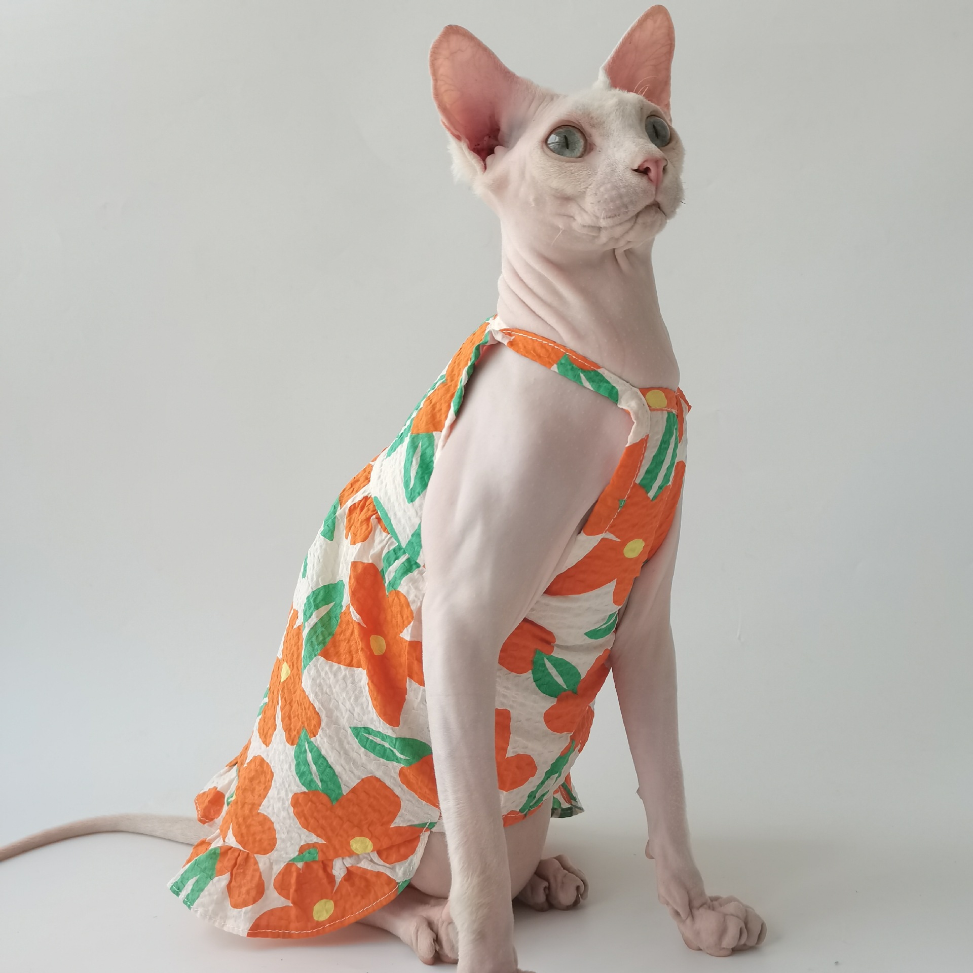 Summer Princess Style Cotton Printed Sundress Breathable and Refreshing Sphinx Hairless Cat Devon Dress
