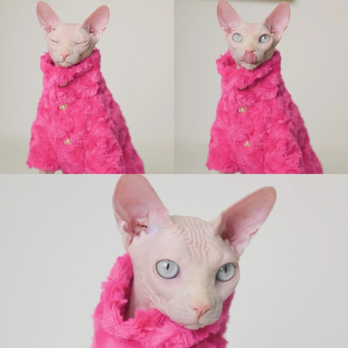 Hairless Cat Clothes Winter Two-layers Warm Thick Cat Apparel for Sphynx Cats, Devon Rex Cats,Small Cats and Dogs