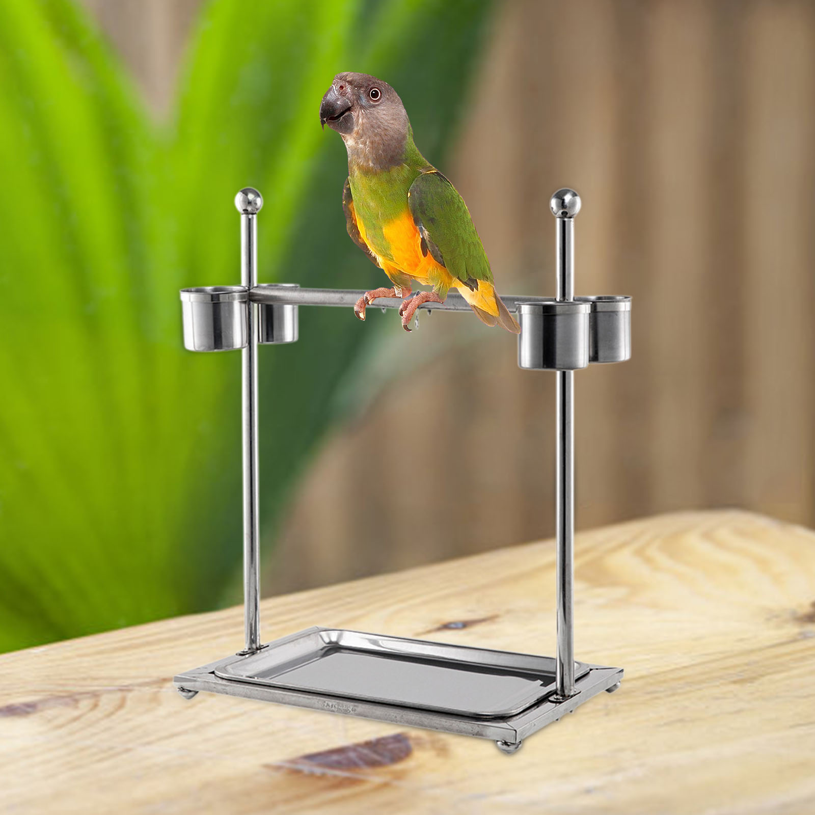 Bird Stand with Feeding Cups Bird Cage Perch Training Toy Parrot Playstand for Budgie Conures Lorikeet Lovebirds Macaw Canaries