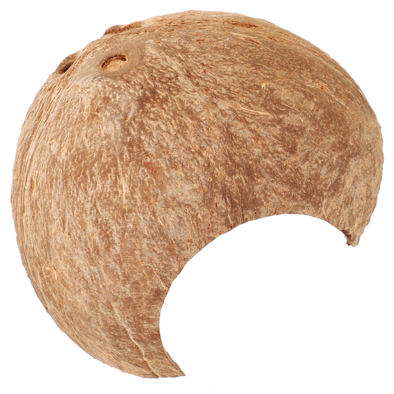 Coconut Hideout House Leopard Gecko Humid Container Coconuts Shell Hermit Crab Tank Adorable Reptile Cave