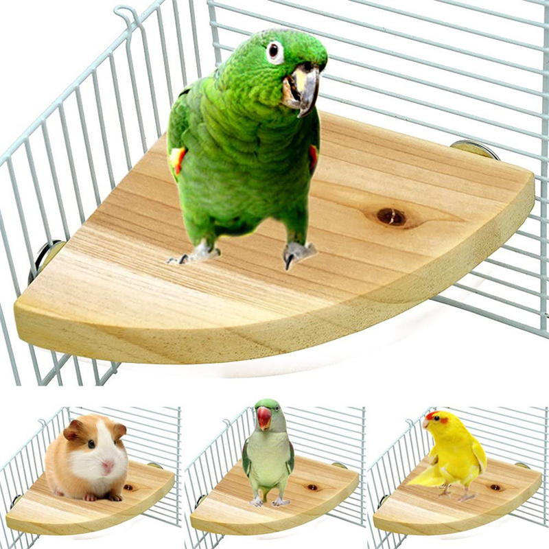 Fan-shaped Bird Parrot Wooden Stand Rack Bird Cage Accessories Perch for Small Animal Chinchilla Squirrel Hamster Stand Board