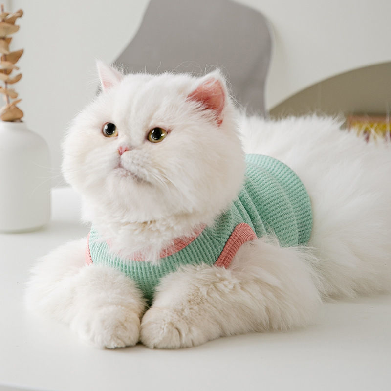 Spring and Summer Lightweight Herringbone - Patterned Shirts for Small Cats and Puppies. Ideal for Siamese, Chihuahuas, Yorkies