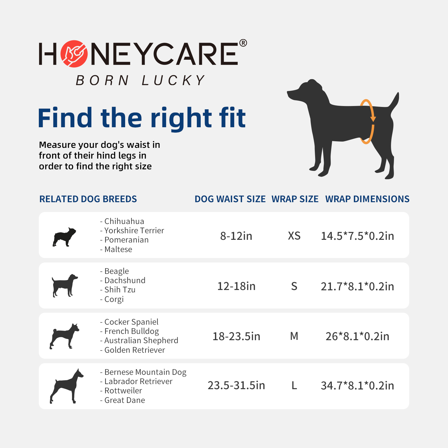 HONEYCARE 12PCS/Bag Dog Diapers Wraps Super Absorbent Male Dog Disposable Leakproof Nappies Puppy 2022 New