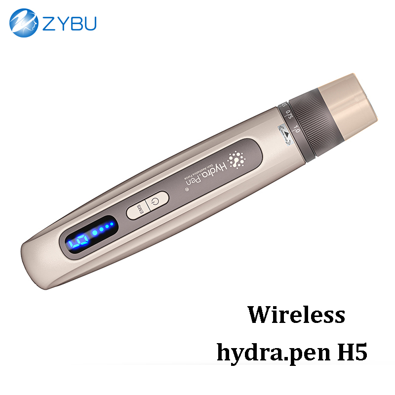 2 in 1 Microneedling EMS Beauty Instrument Wireless Dermapen Hydra Pen H5 4 Pole EMS Microcurrent Skin Care Tool Hydra.Pen Face Lifting Automatic Infu