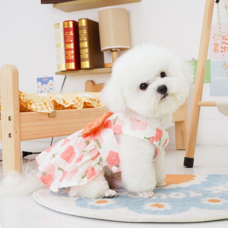 Fashion Dog Princess Dress Dog Harness with Leash Floral Puppy Suspender Skirt Cute Bow Cat Dresses Pet Accessories Dog Clothes