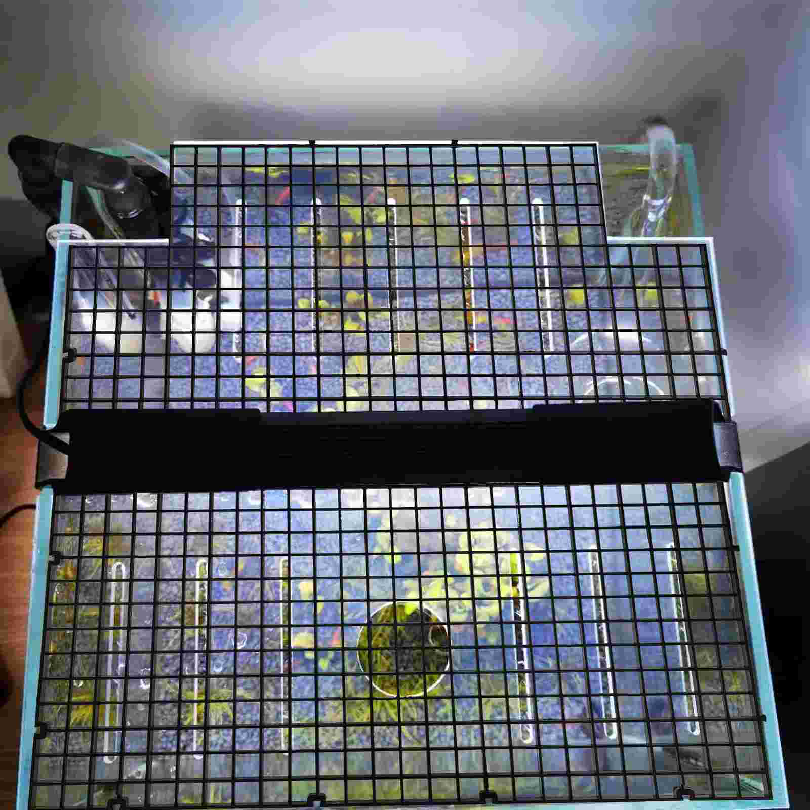 Fish Tank Partition Set Aquarium Divider Separator Tweezers Supplies Water Case Splitter Baby