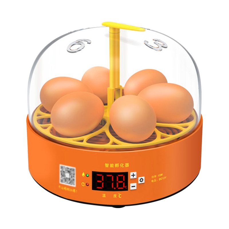 Intelligent Egg Incubator 6 Eggs Hatching Incubator Duck Quail Egg Incubators with Fully Automatic Egg Turning for Chick
