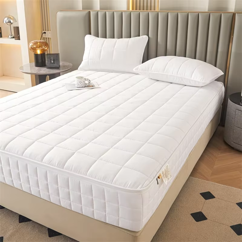 6-Sides Full Enclosed Thicken Fitted Sheet Mattress Cover with Zipper Custom Size Quilted Bed Sheet Anti-mite Mattress Protector