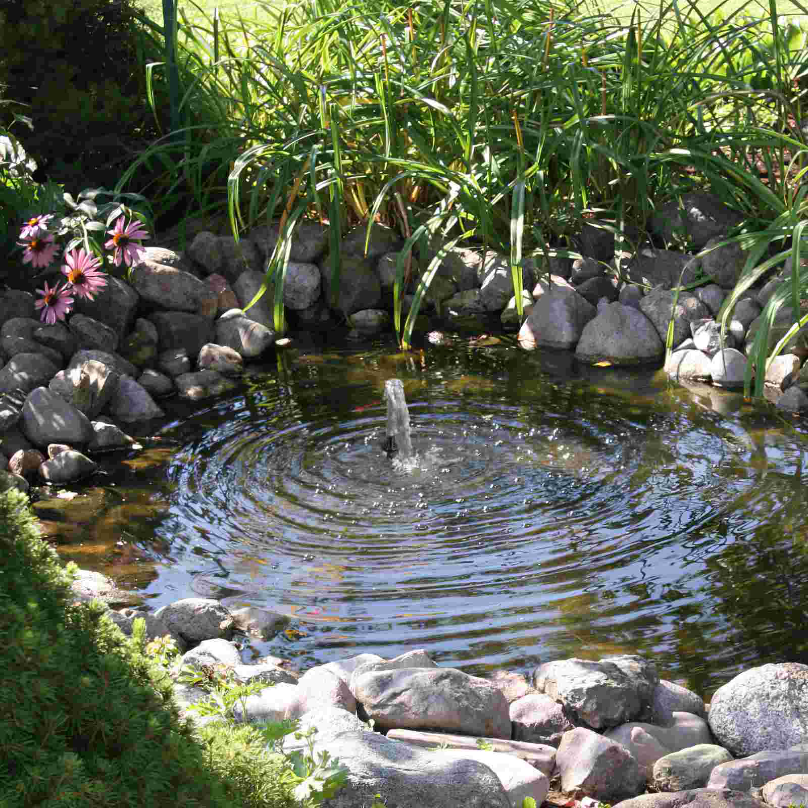 AC 110V 400L/H 7W Aquarium Fish Tank Pond Submersible Water Pump with US Plug (Black) Water pump submersible