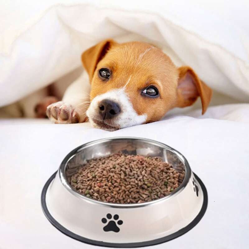 DHpet Creamy White And Dark Gray Printed Dog Bowl Pet Non-slip Bowl Dog Cat Dog Bowl Cat Bowl Stainless Steel Dog Food Bowl Rice Bowl