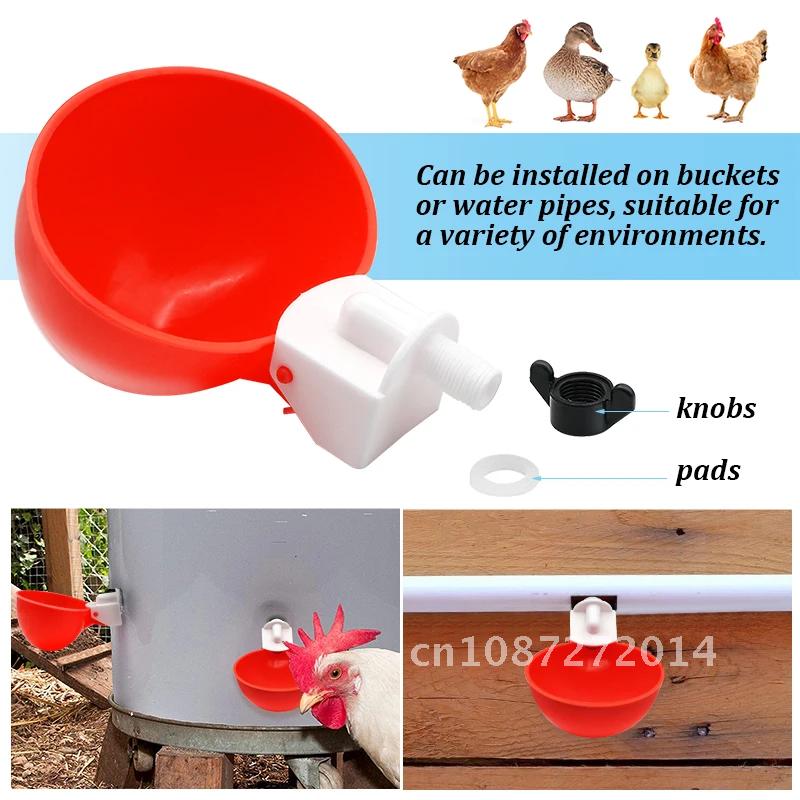 50 Dispenser Automatic Chicken Drinker Bowl Duck Plastic Drinking Cup Water Chicken Feeder Supply Water Pcs Device Bird Poultry