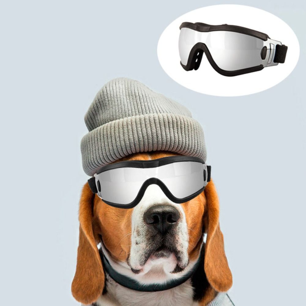 Practical Adjustable Strap Dog Goggles Windproof UV Resistant Dog Sunglasses Waterproof Anti-Fog Pet Glasses Sports